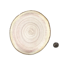 Small natural wood slice size reference 5.1 to 6.7 inches