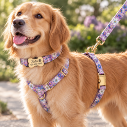 Personalized dog walking set with floral collar, harness, leash and optional bow tie