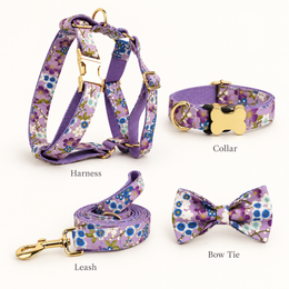 Custom dog collar set with 28 floral and patterned design options