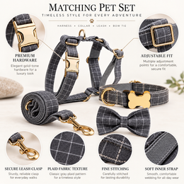 Personalized pet accessory set with collar, harness, leash and bow tie options