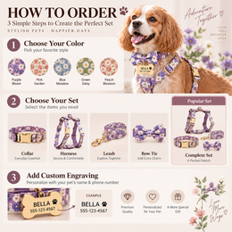 Evervain Studio personalized floral dog collar, harness and leash set