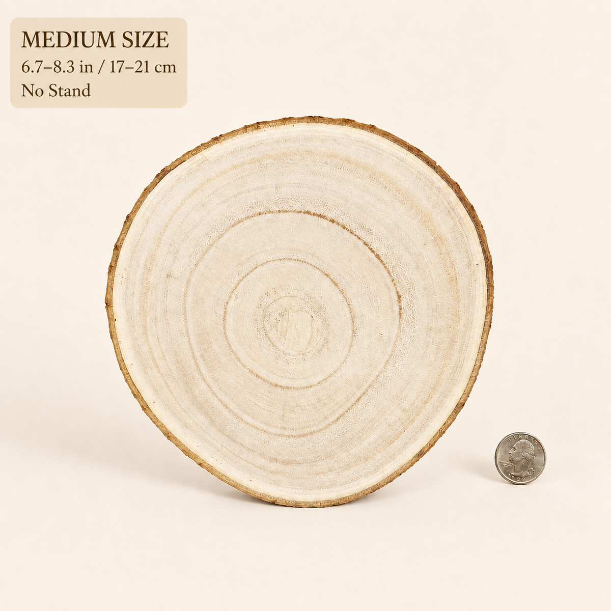 Medium 6.7 to 8.3 inch wood slice next to a quarter for size comparison, no stand