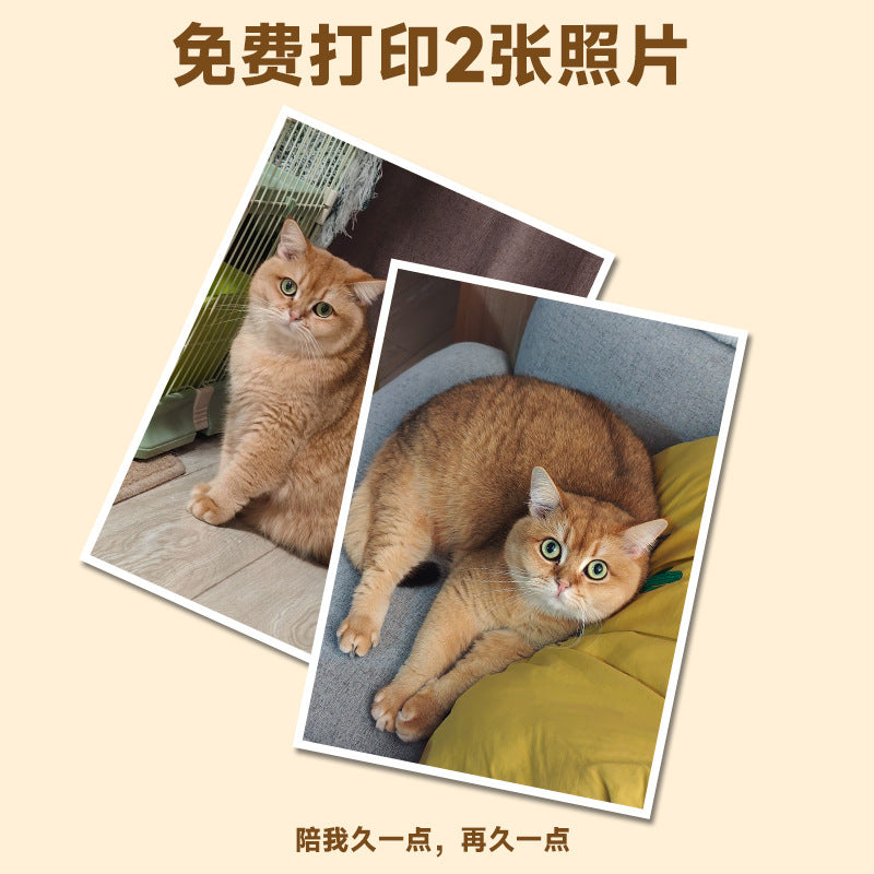 宠物纪念相框木质双面旋转摆台带灯毛发收藏照片框创意猫咪纪念礼