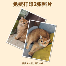 宠物纪念相框木质双面旋转摆台带灯毛发收藏照片框创意猫咪纪念礼