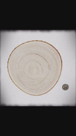 Personalized Family Photo Wood Slice | Custom Engraved Keepsake