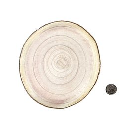 Small natural wood slice size option measuring 5.1 to 6.7 inches or 13 to 17 cm for personalized engraving.