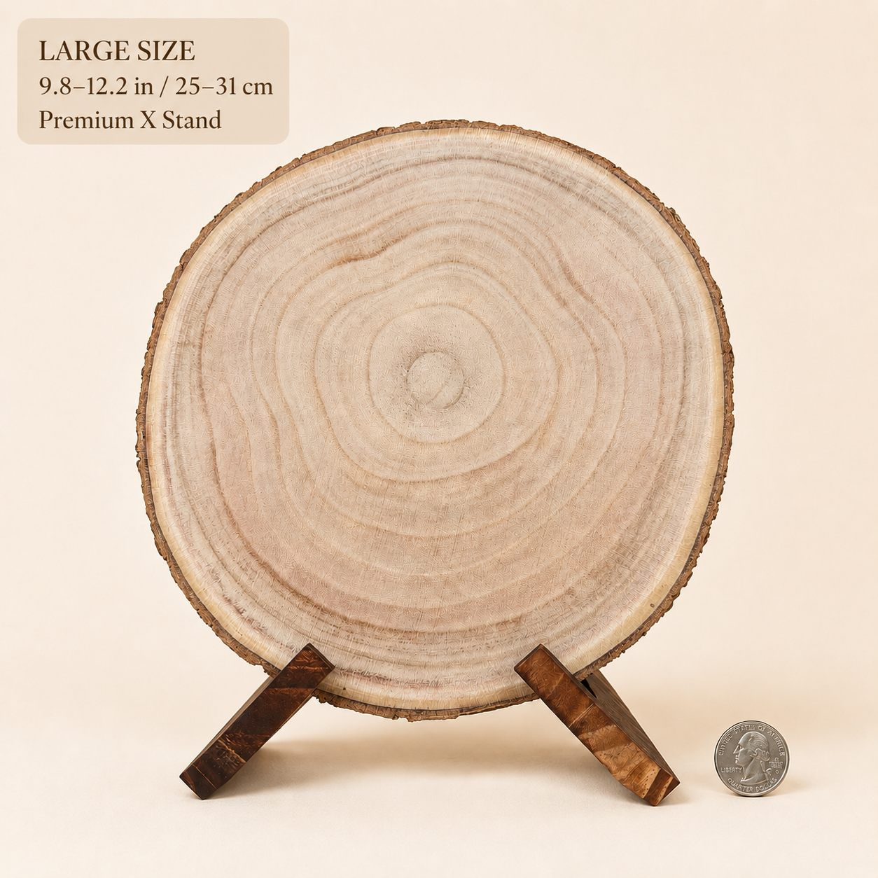 Large size 9.8-12.2 in / 25-31 cm - Premium X Stand