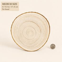 Medium size 6.7-8.3 in / 17-21 cm - No Stand